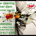 Window Cleaning summer deal