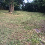 Back yard