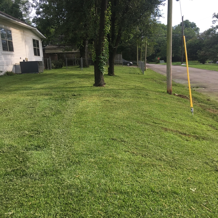 Front Yard