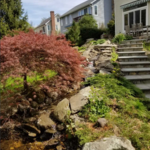 Stairs & Waterfall