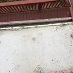 Gutter cleanings