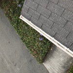 Gutter cleaning