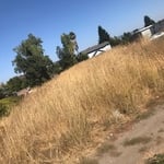 High weed mowing