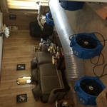 Bed Bug Heat Treatment