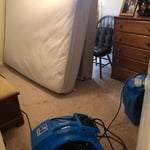 Bed Bug Heat Treatment