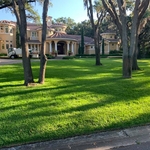 Our Work