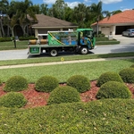 Our Work