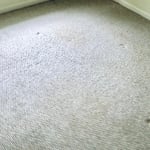 Pet stained furniture