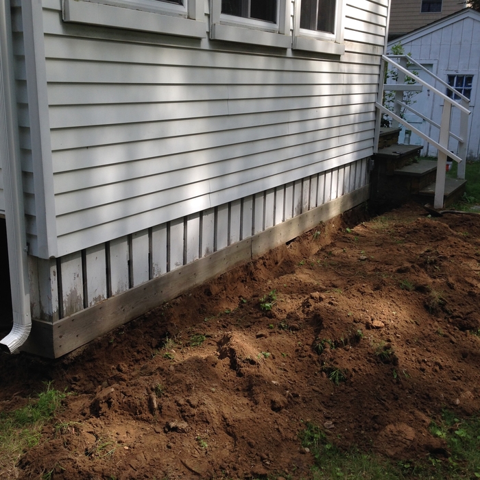 Raccoons were living under this sunroom