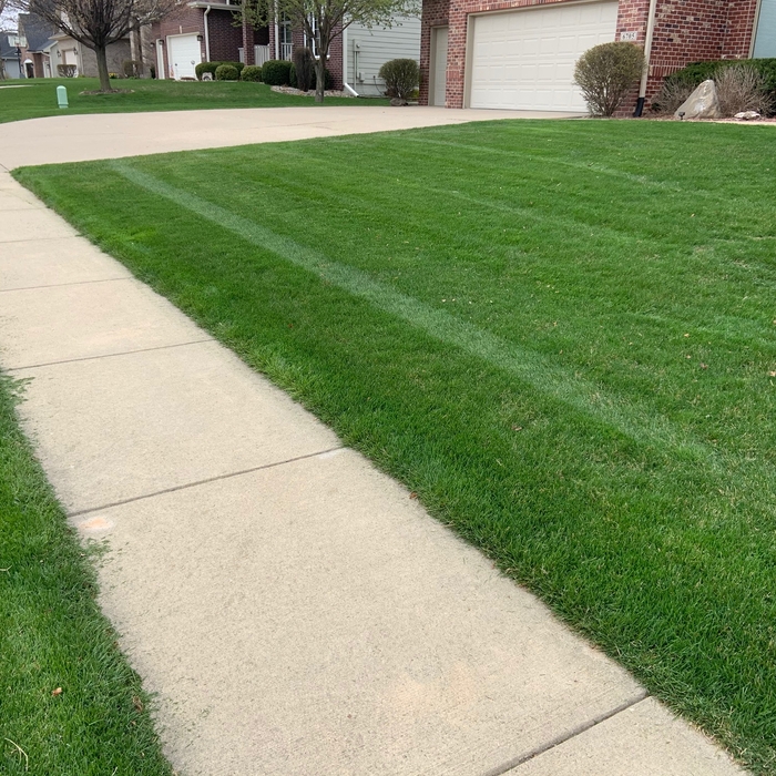 Serene Front yard