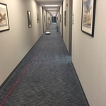 Carpet Cleaning