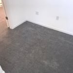 Carpet Cleaning