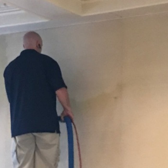 Carpet Cleaning