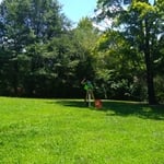 Professional Land Surveyor