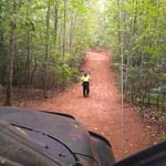 Professional Land Surveyor