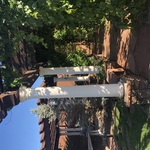 Trellis