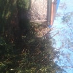 Ms.Peaches House