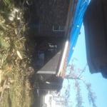 Ms.Peaches House