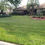 Lawn