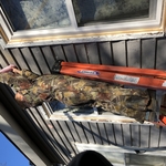 New Homes Remodels