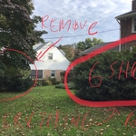 Before - Remove shrubs