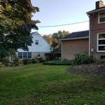 After - Remove Shrubs
