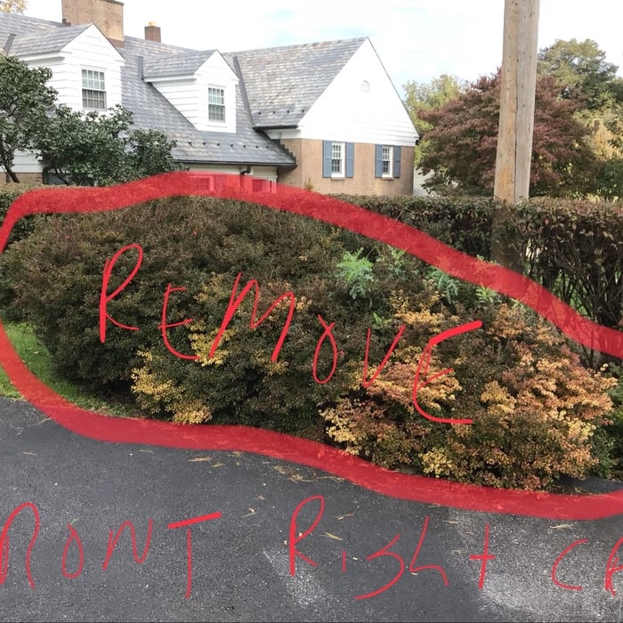 Before - Remove Shrubs