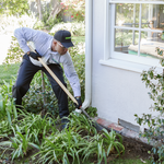Residential Termite Treatment