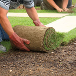 sod install