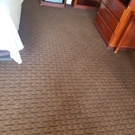 Hotel Carpet cleaning