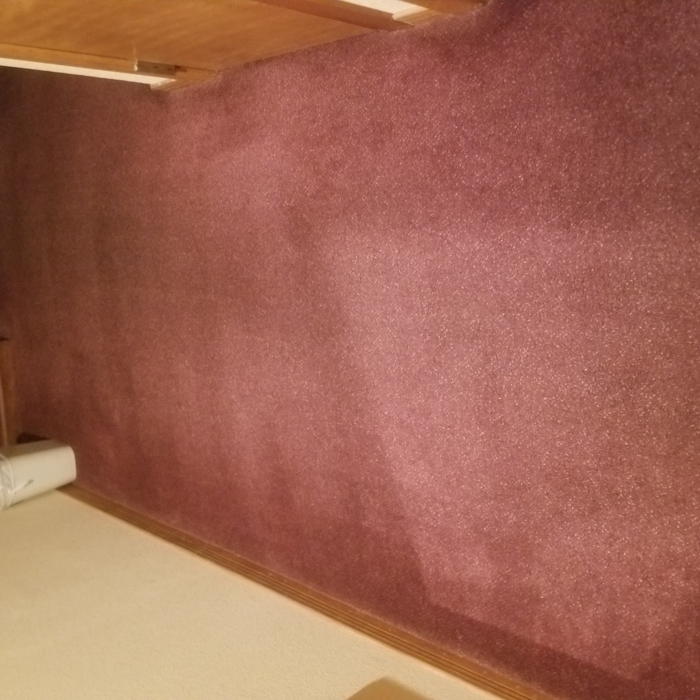 Hotel carpets cleaning