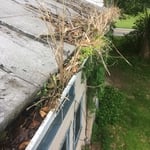 Gutter clean out