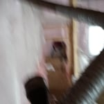 OUR WORK