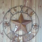 Texan elect pictures