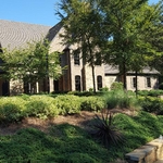 Pinestraw/Trim job