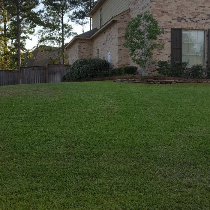 Lawn maintenance