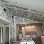 Wall and ceiling before