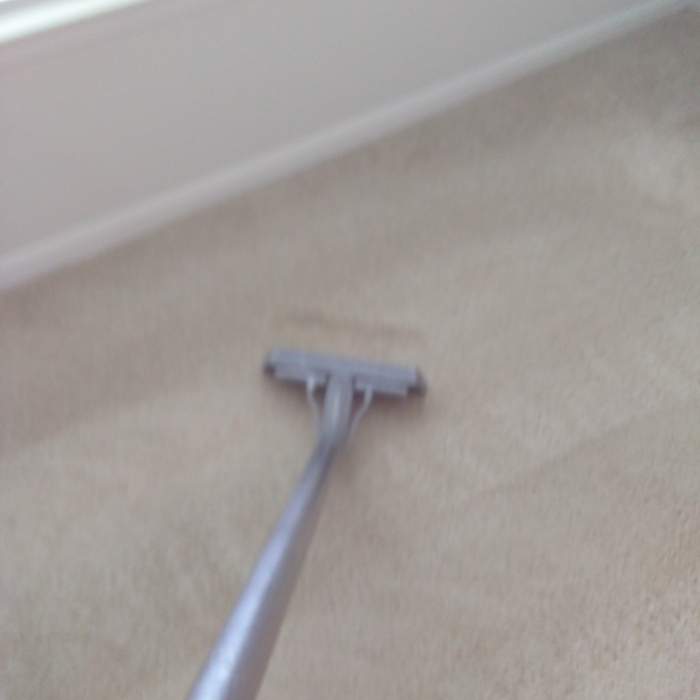 Carpet cleaning