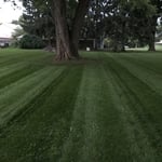Regular maintenance
