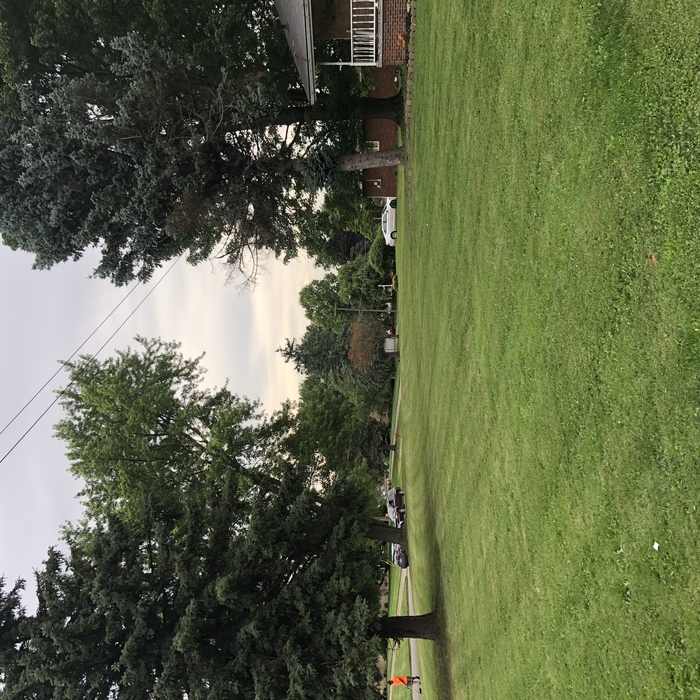 Lawn maintenance