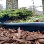Edging