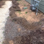 Yard Remodeling