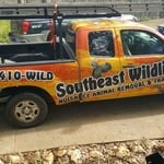 Our Wild Truck