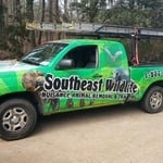 Wild Truck #2