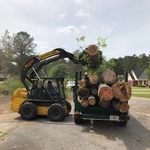 Tree Removal.