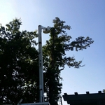 Tree Removal