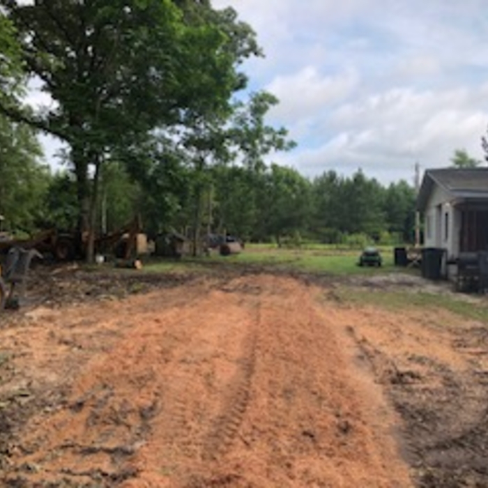 we also can take care of your stumps