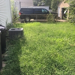 Overgrown small back yard