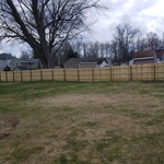 Pressure treated pine