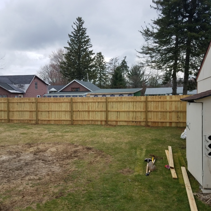 Pressure treated pine